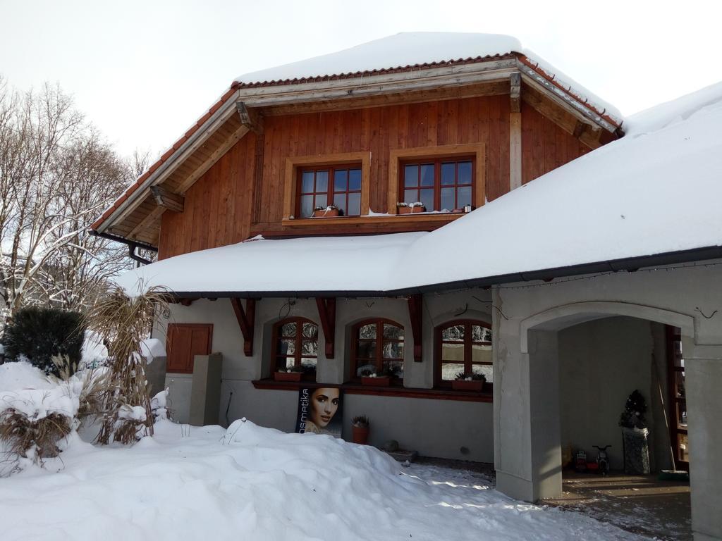 Family House 94 Daire Prosecne Dış mekan fotoğraf